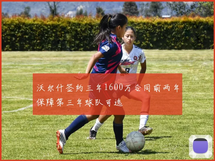 沃尔什签约三年1600万合同前两年保障第三年球队可选